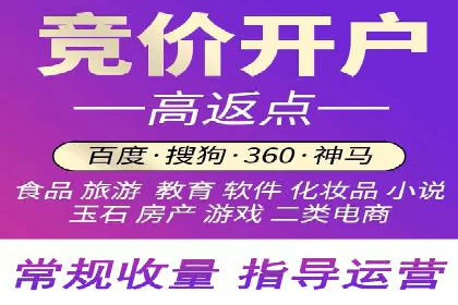 竞价推广中的数据监控与分析：某行业头部企业的成功经验